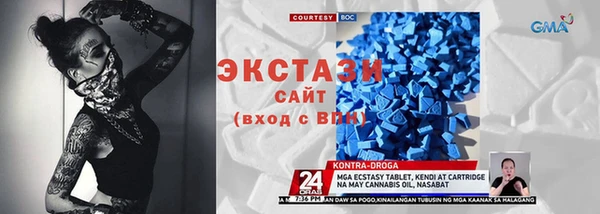 индика Абинск