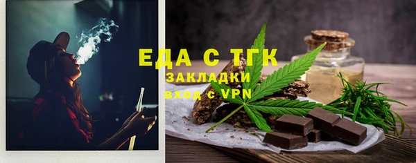 индика Арсеньев