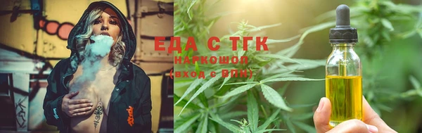 индика Абинск