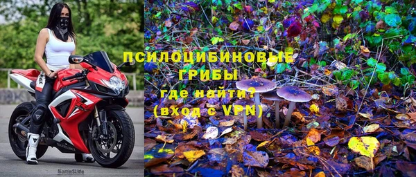 ALPHA-PVP Алексеевка