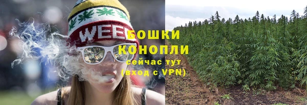 гидра Сафоново