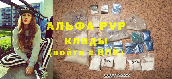 индика Абинск