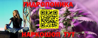 метадон Гай