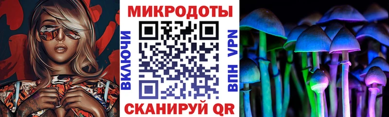 Псилоцибиновые грибы Cubensis  Егорьевск 