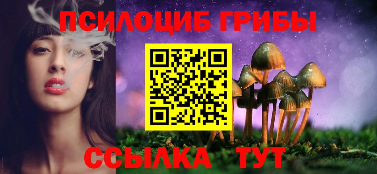 Галлюциногенные грибы Psilocybe  Вход с VPN  Галлюциногенные грибы Psilocybe  Егорьевск 