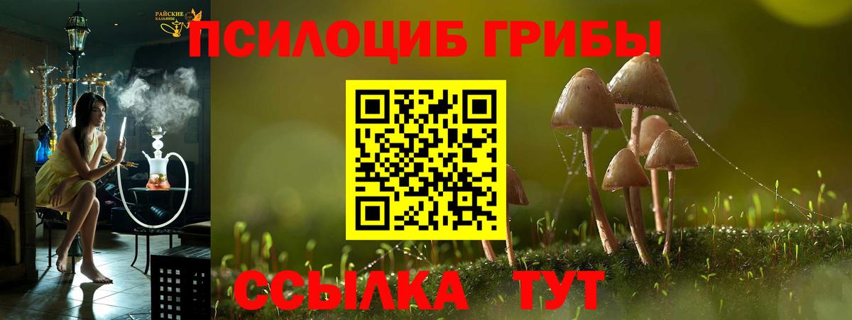 Псилоцибиновые грибы Cubensis Егорьевск